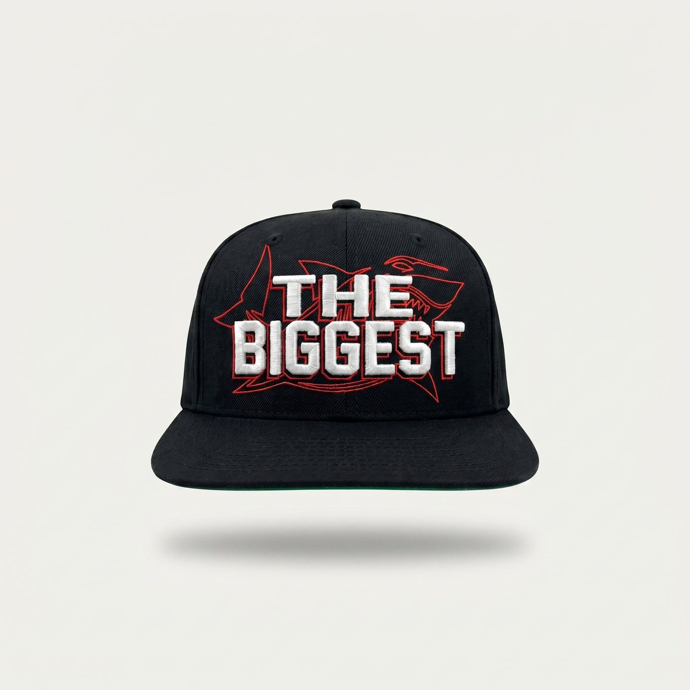 The Biggest Snap Back